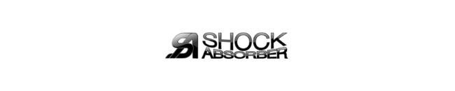 Shock Absorber 1